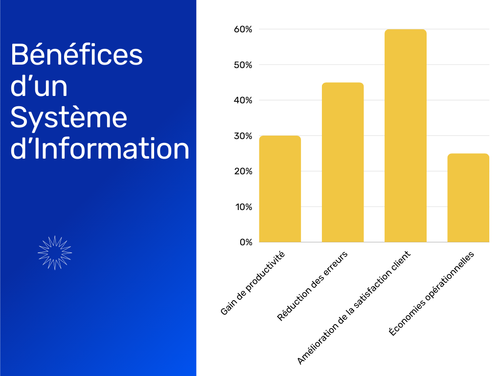 systeme d informations